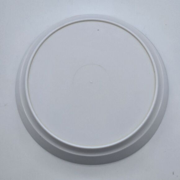 Looney Tunes Melamine Vintage Children Bowl Porky Pig Warner Bros 5.5in Diameter - Picture 6 of 6